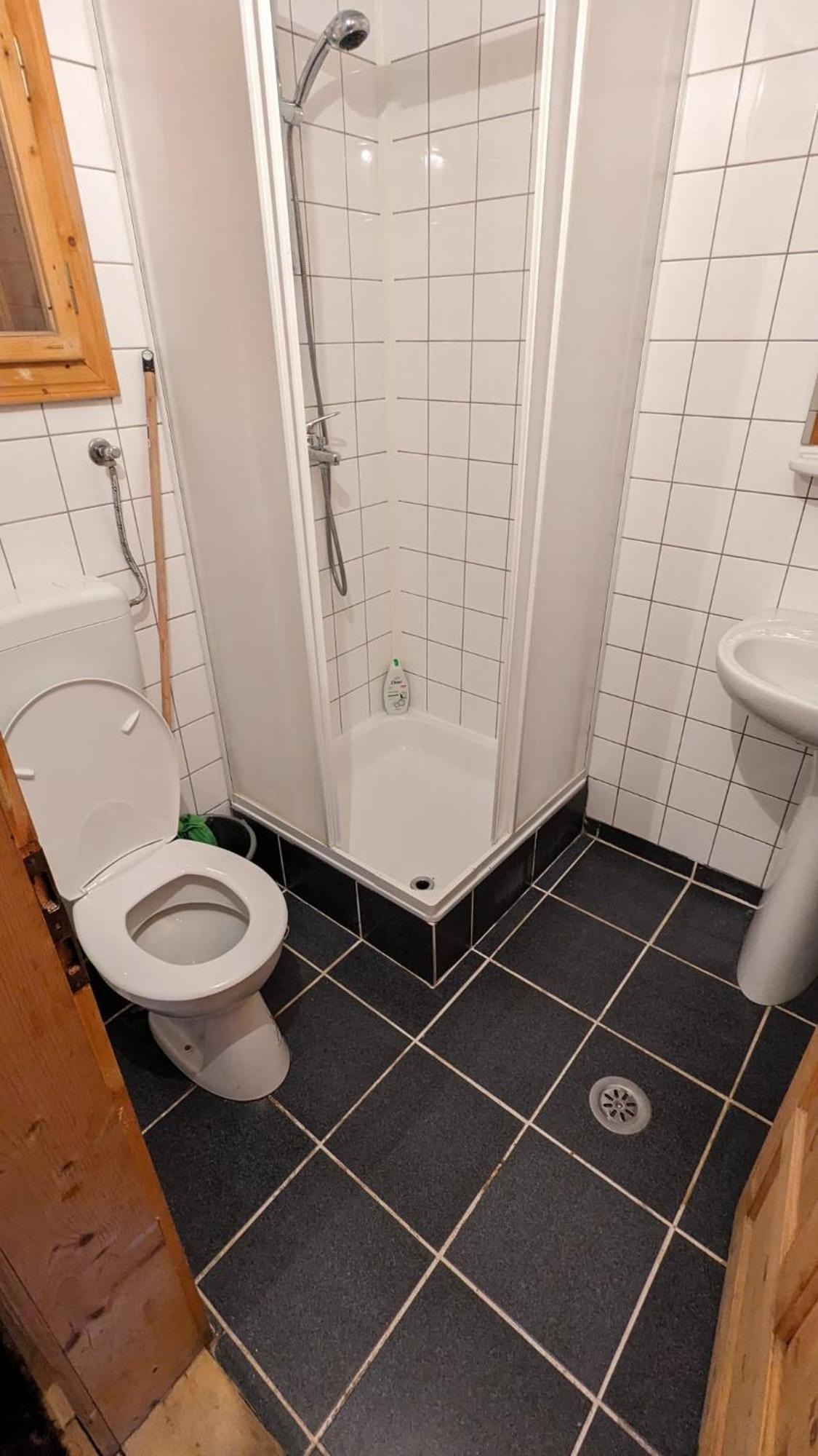 Villa Alvik Geoagiu Băi Exteriör bild