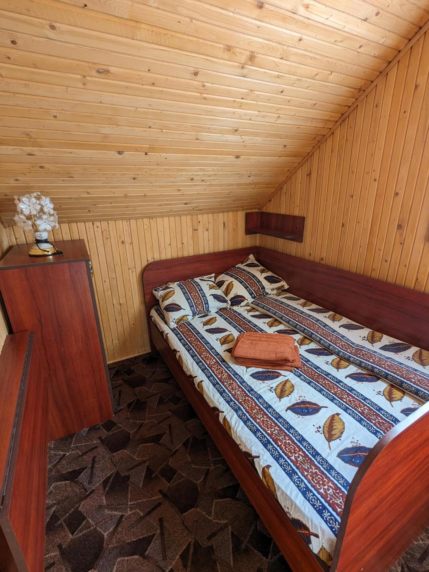 Villa Alvik Geoagiu Băi Exteriör bild