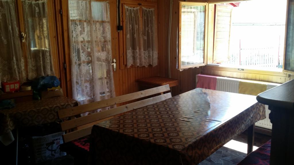 Villa Alvik Geoagiu Băi Exteriör bild