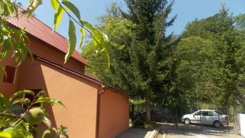 Villa Alvik Geoagiu Băi Exteriör bild